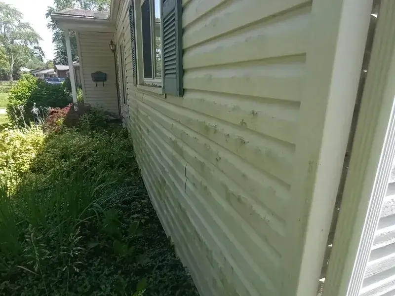 Before project started