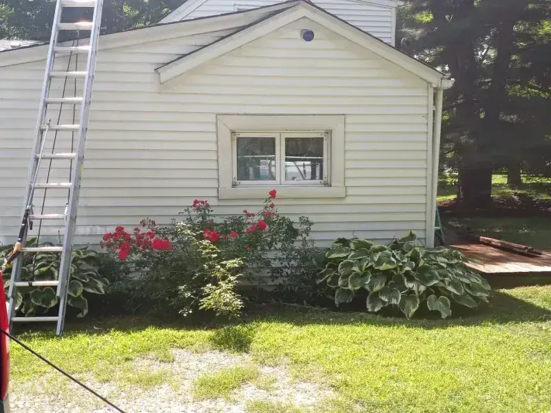 Bright clean cream siding after a soft wash, with the rose bed in bloom below it