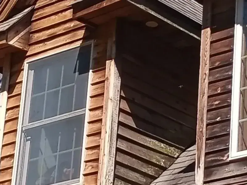 Log-cabin-style wood siding shown before and after cleaning within a single frame